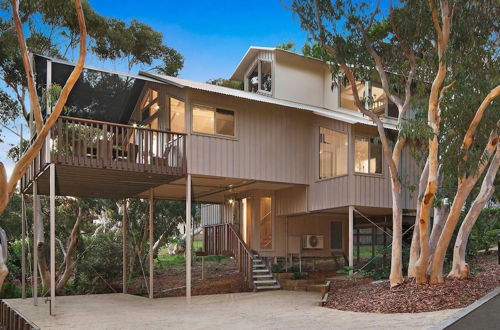 Photo 24 - The Oasis Apartments and Treetop Houses