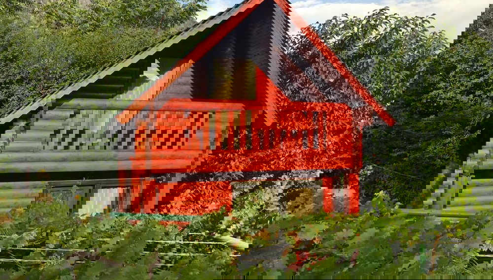 Imagem principal