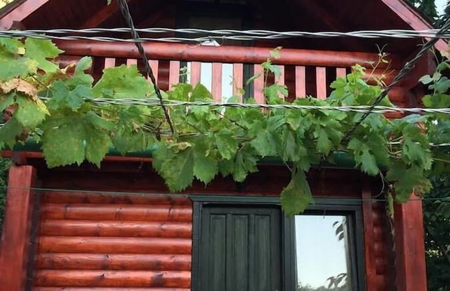 Holiday Homes & Bungalows Povija - Foto 37