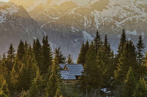 Photo 65 - Koca Bistra - Velika planina