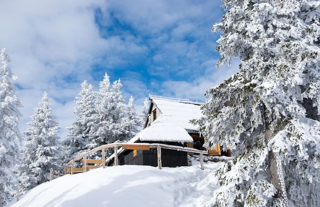Koca Bistra - Velika planina - Foto 2