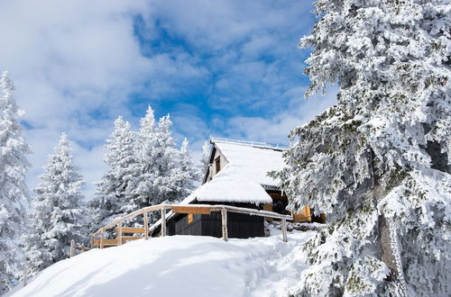 Photo 2 - Koca Bistra - Velika planina