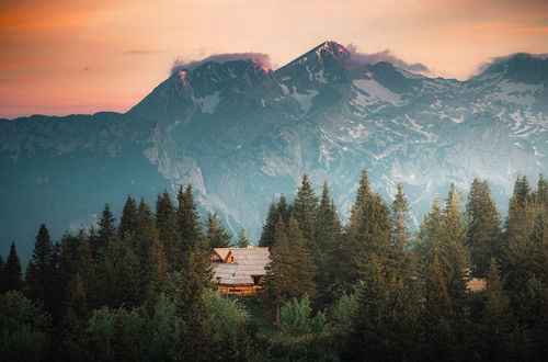 Photo 51 - Koca Bistra - Velika planina