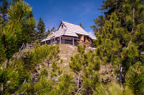 Photo 22 - Koca Bistra - Velika planina