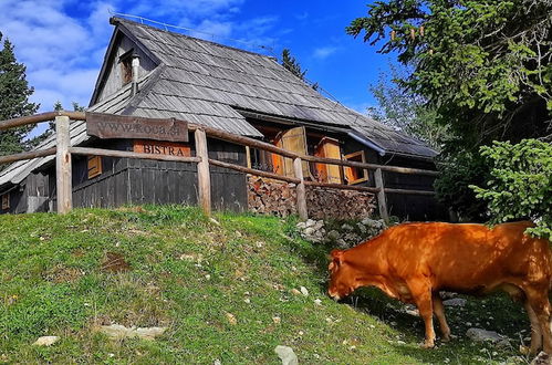 Photo 48 - Koca Bistra - Velika planina