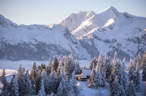 Foto 50 - Koca Bistra - Velika planina