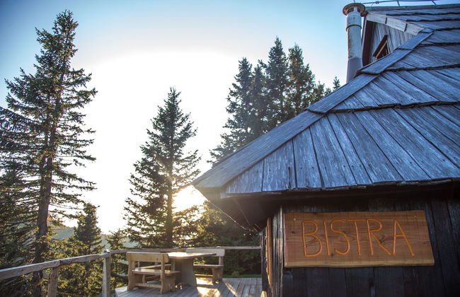 Koca Bistra - Velika planina - Foto 21