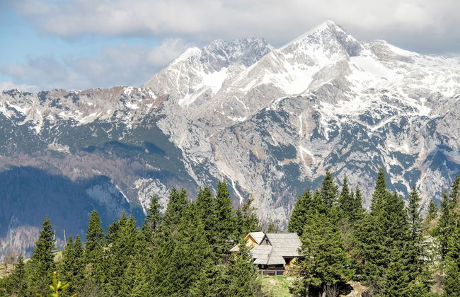 Koca Bistra - Velika planina - Foto 61