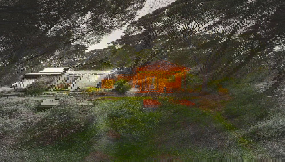 Image principale