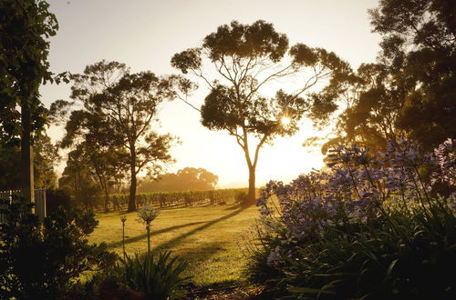 Foto 50 - Gisborne Peak Winery Cottages