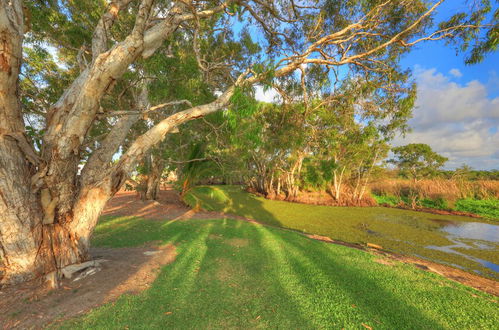 Photo 65 - Discovery Parks - Mackay