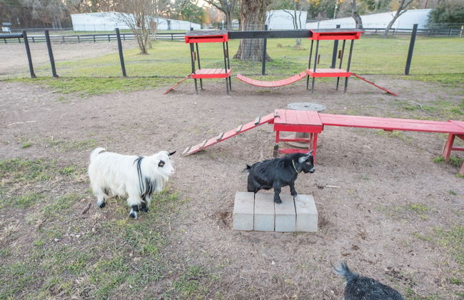 Happy Goat Retreat - Foto 43