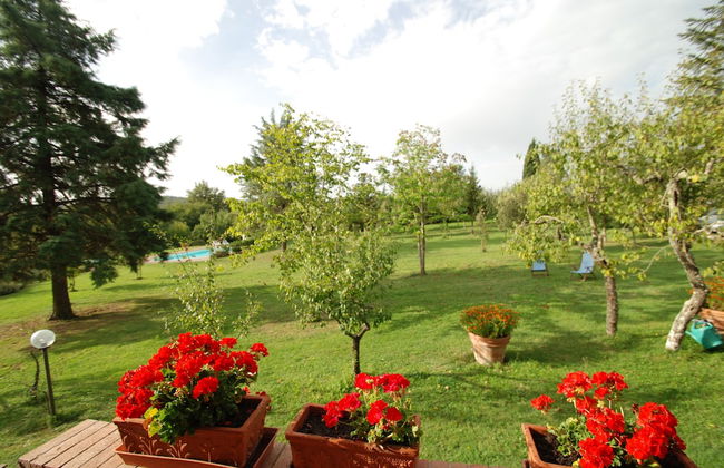 Poggetto - Foto 26