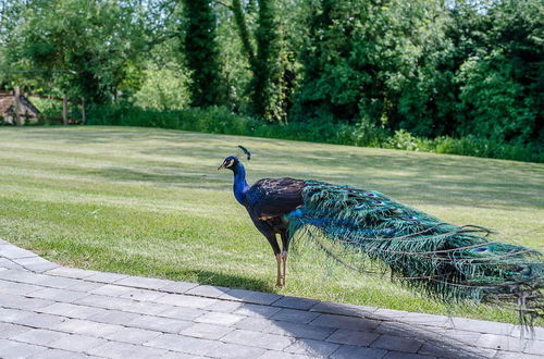 Photo 3 - Geoff's Rest, Pond Hall Farm, Hadleigh