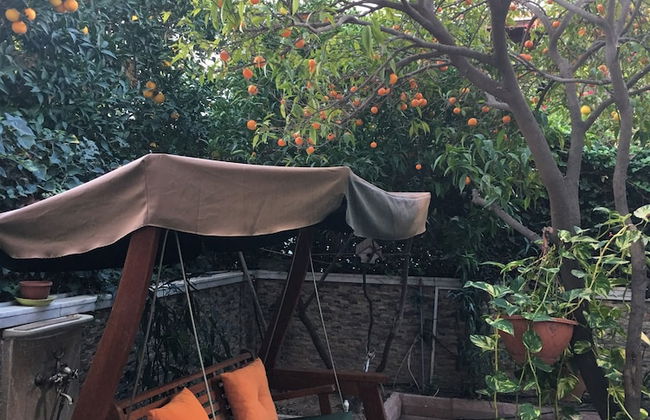 Orange Garden - Foto 43