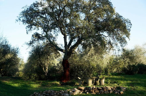 Photo 30 - Molino Della Volta