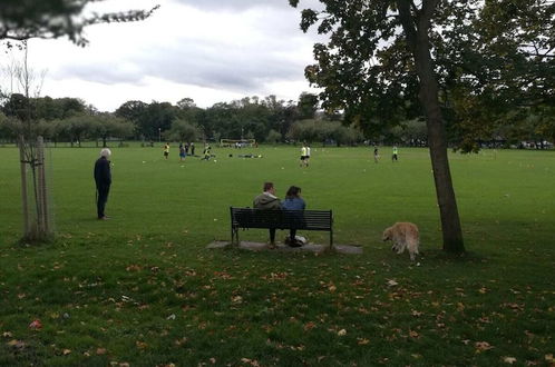 Photo 43 - Central Fringe Base With Garden Near the Meadows