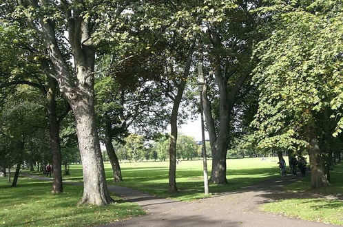 Photo 40 - Central Fringe Base With Garden Near the Meadows