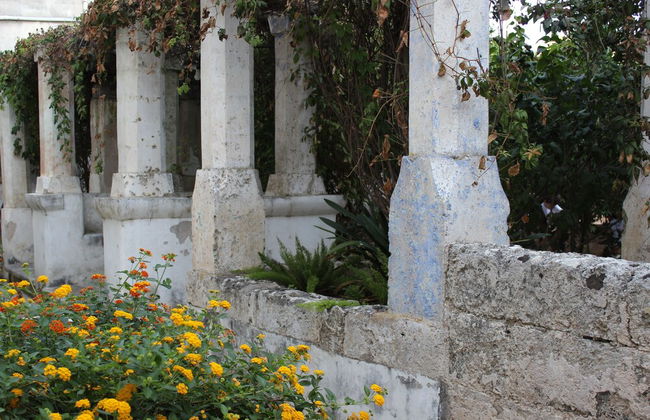 Masseria Pagani - Foto 80