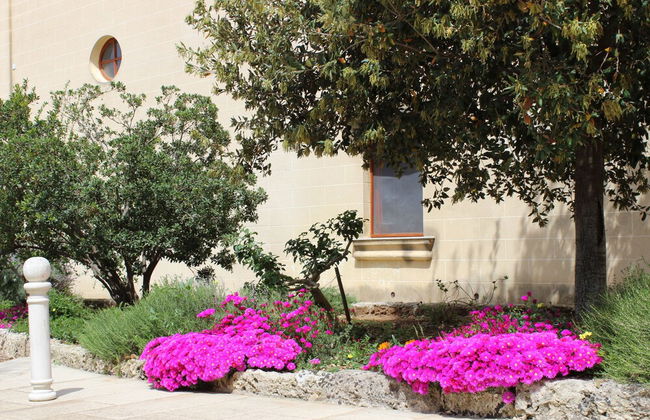 Masseria Pagani - Foto 67