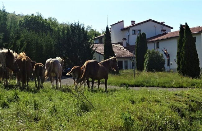Apartamentos Remanso del Río Razón - Foto 48