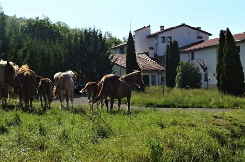 Foto 45 - Apartamentos Remanso del Río Razón