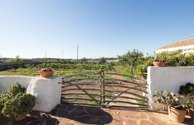 Finca Calafi Nou - Foto 40