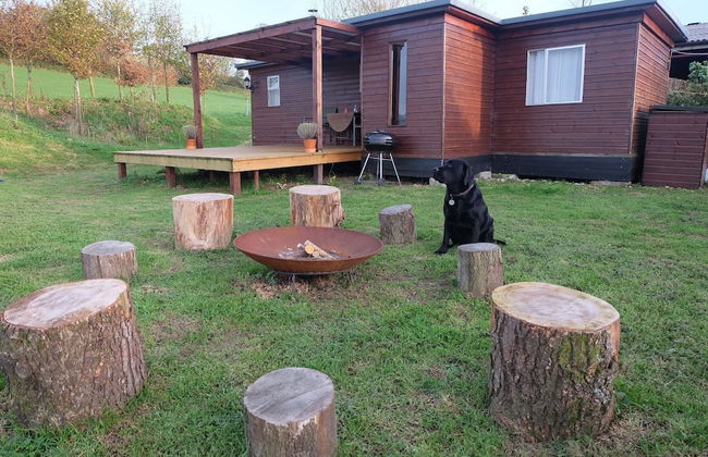 Cozy and Peaceful Cabin 15 Mins From Lyme Regis - Foto 12
