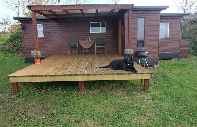 Cozy and Peaceful Cabin 15 Mins From Lyme Regis - Foto 14