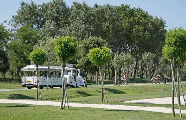Villaggio Lecci - Foto 53