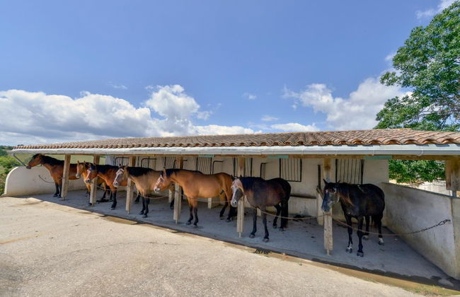 Domaine de Fraisse - Foto 44