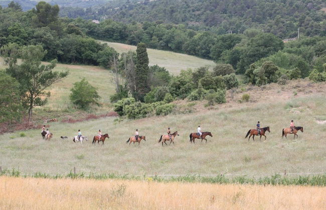 Domaine de Fraisse - Foto 47