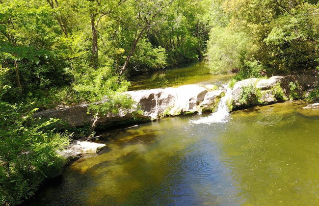 Domaine de Fraisse - Foto 43