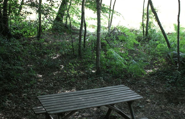 Ô bois dormant - Foto 35