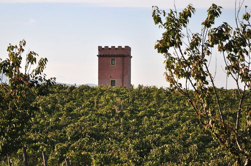 Foto 4 - Fattoria Santa Lucia