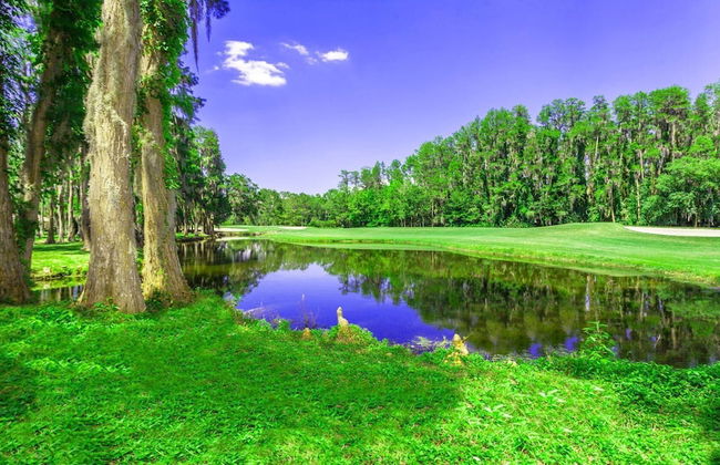 7 Room Saddlebrook Golf SPA Villa 5BR 4BA - Foto 16