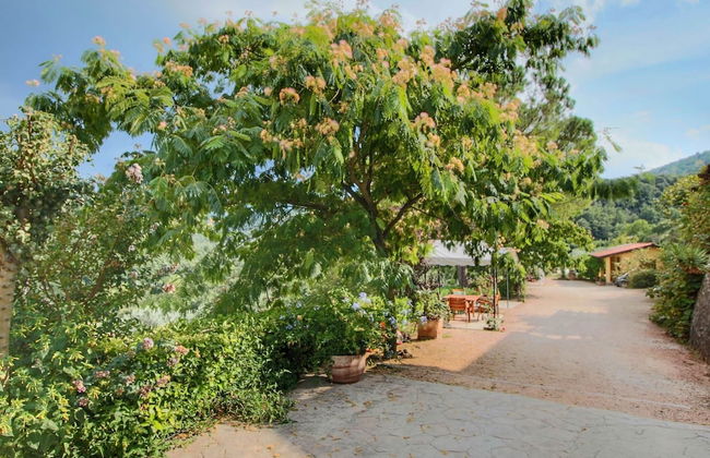 Cottage in Bettona With Pool & Near Assisi - Foto 30