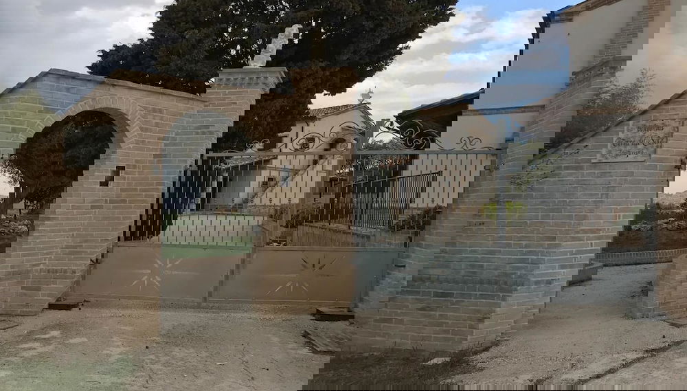 Primary image