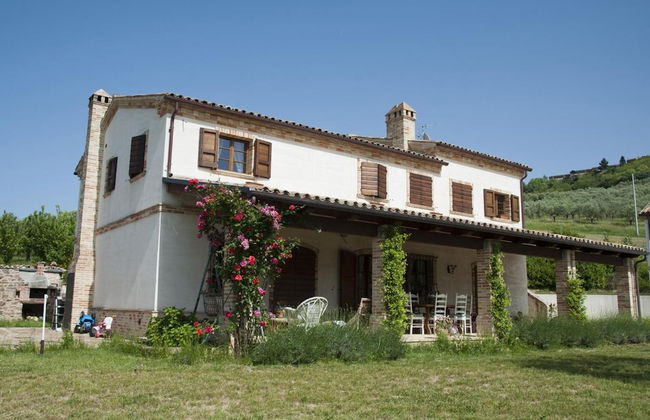 Terra del Sole - Foto 58