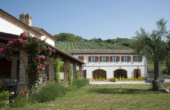 Terra del Sole - Foto 51
