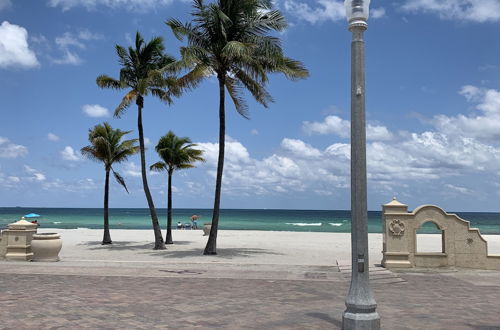 Photo 37 - Hollywood Beach Seagull