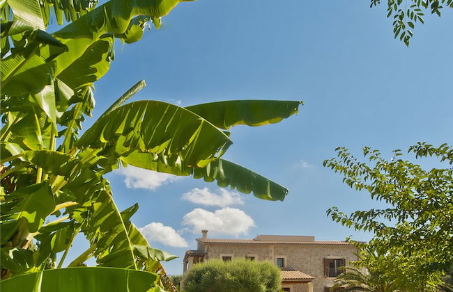 Finca Santa María - Foto 6