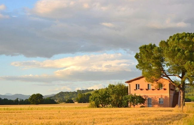 Agriturismo Pian del Tevere - Photo 32