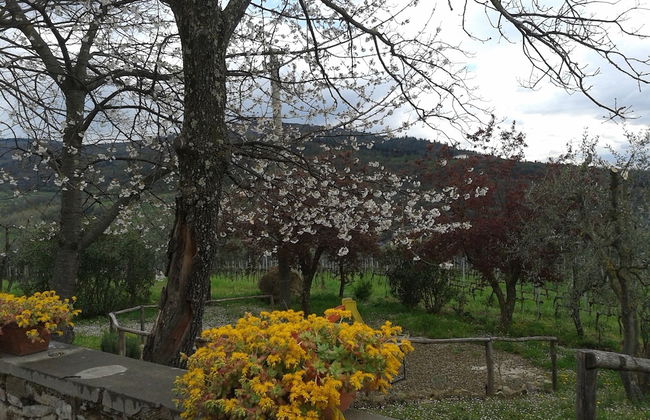 Agriturismo Poggiopiano - Foto 55