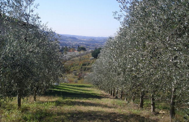 Agriturismo Poggiopiano - Foto 43