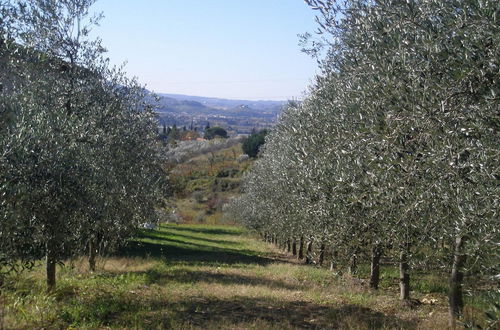 Foto 53 - Agriturismo Poggiopiano