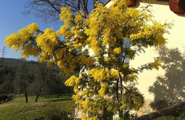 Agriturismo Poggiopiano - Foto 52