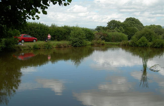 Newcourt Barton - Foto 25