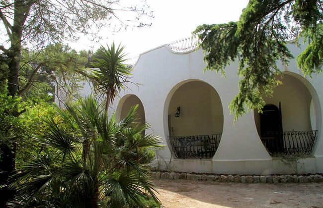 Villa Le Cesine - Foto 16