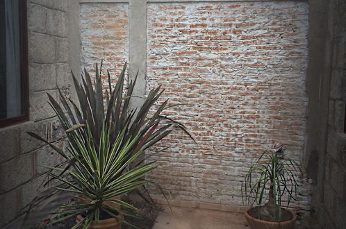 Photo 3 - Casa Frailes San Miguel de Allende